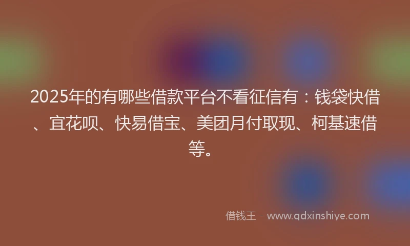2025年的有哪些借款平台不看征信有：钱袋快借、宜花呗、快易借宝、美团月付取现、柯基速借等。