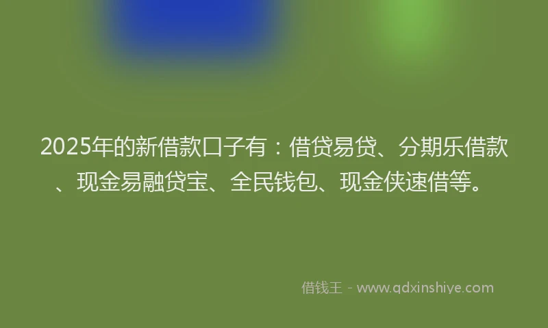 2025年的新借款口子有：借贷易贷、分期乐借款、现金易融贷宝、全民钱包、现金侠速借等。
