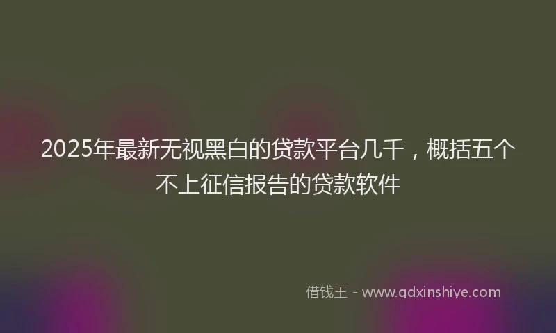 2025年最新无视黑白的贷款平台几千，概括五个不上征信报告的贷款软件