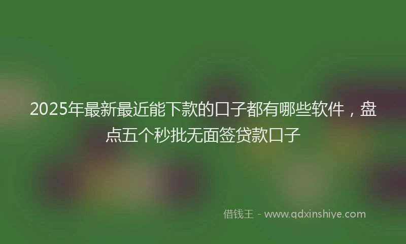 2025年最新最近能下款的口子都有哪些软件，盘点五个秒批无面签贷款口子