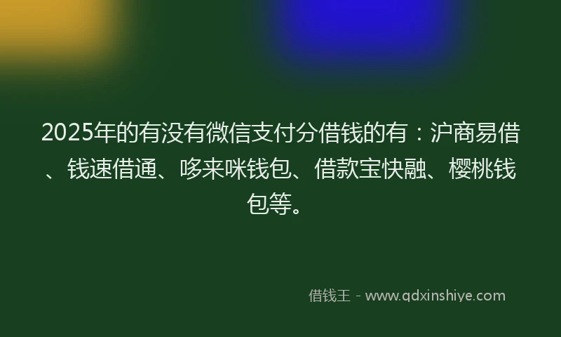 2025年的有没有微信支付分借钱的有：沪商易借、钱速借通、哆来咪钱包、借款宝快融、樱桃钱包等。