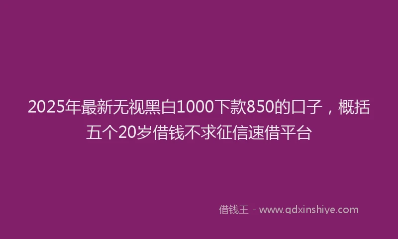 2025年最新无视黑白1000下款850的口子，概括五个20岁借钱不求征信速借平台