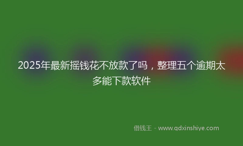 2025年最新摇钱花不放款了吗，整理五个逾期太多能下款软件