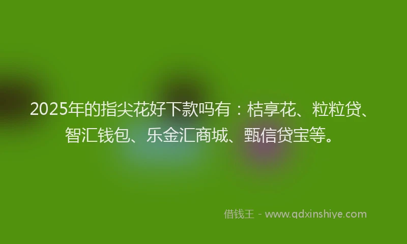 2025年的指尖花好下款吗有：桔享花、粒粒贷、智汇钱包、乐金汇商城、甄信贷宝等。
