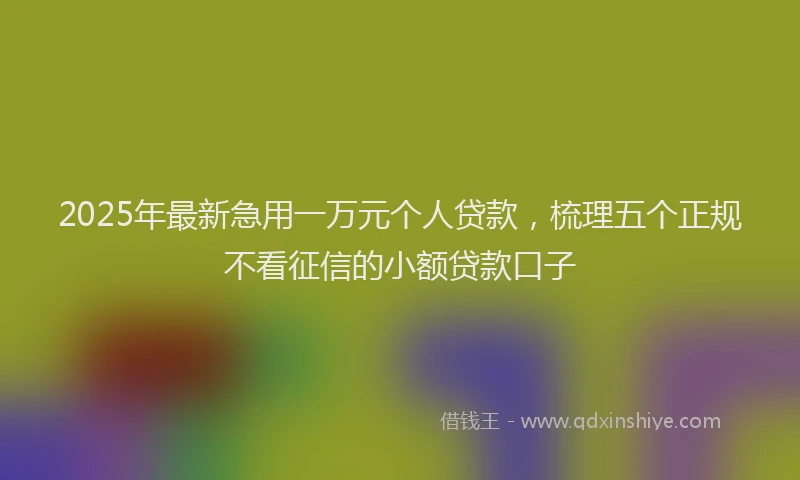 2025年最新急用一万元个人贷款，梳理五个正规不看征信的小额贷款口子