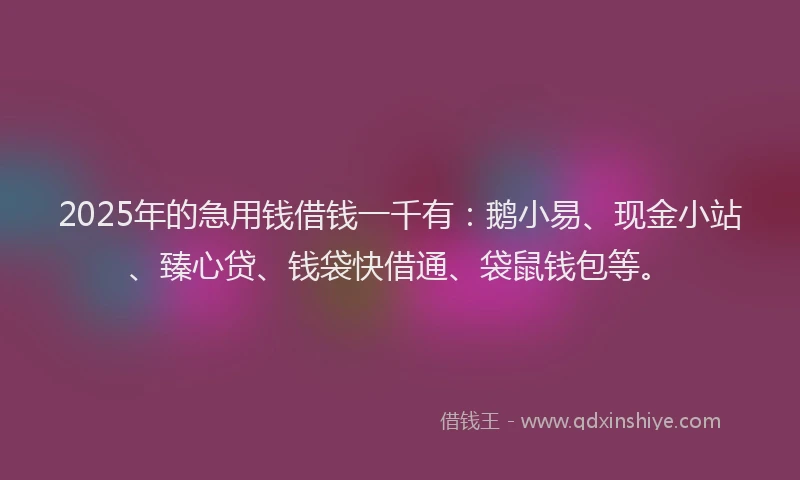 2025年的急用钱借钱一千有：鹅小易、现金小站、臻心贷、钱袋快借通、袋鼠钱包等。