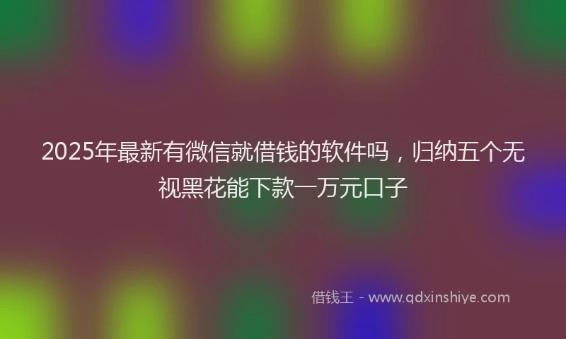 2025年最新有微信就借钱的软件吗，归纳五个无视黑花能下款一万元口子