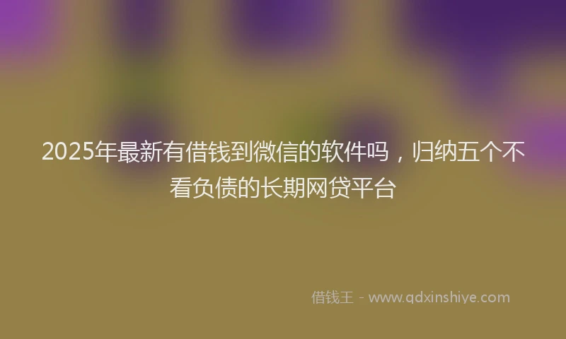 2025年最新有借钱到微信的软件吗，归纳五个不看负债的长期网贷平台