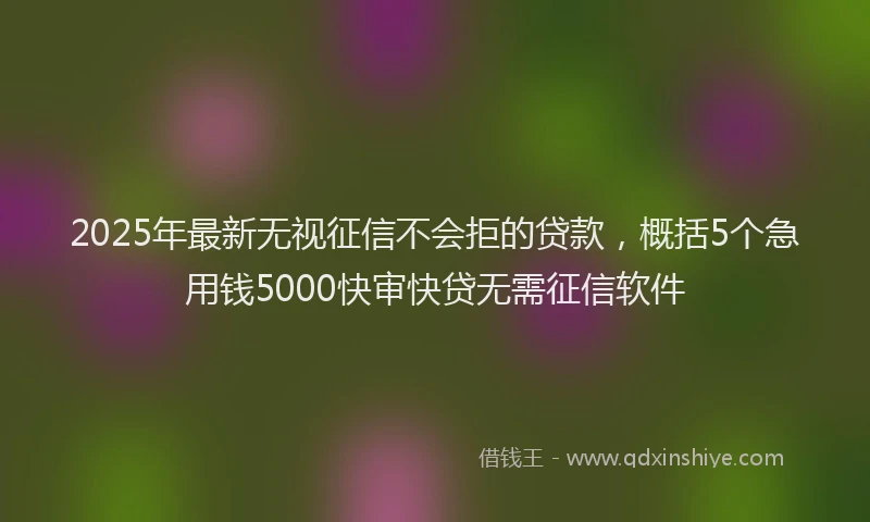 2025年最新无视征信不会拒的贷款，概括5个急用钱5000快审快贷无需征信软件