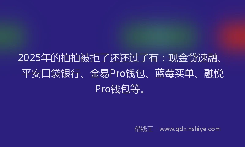2025年的拍拍被拒了还还过了有：现金贷速融、平安口袋银行、金易Pro钱包、蓝莓买单、融悦Pro钱包等。