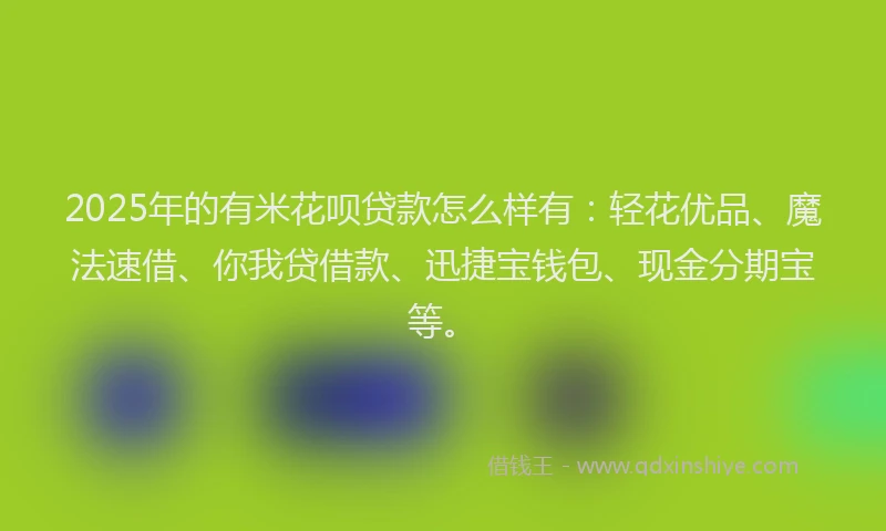 2025年的有米花呗贷款怎么样有：轻花优品、魔法速借、你我贷借款、迅捷宝钱包、现金分期宝等。