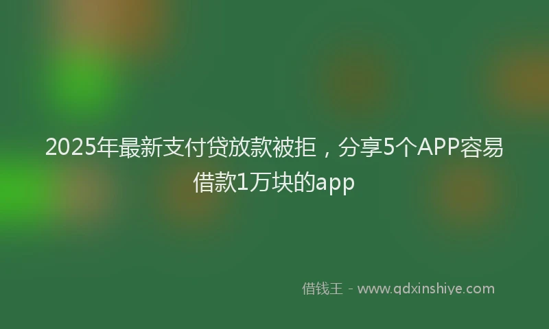 2025年最新支付贷放款被拒，分享5个APP容易借款1万块的app