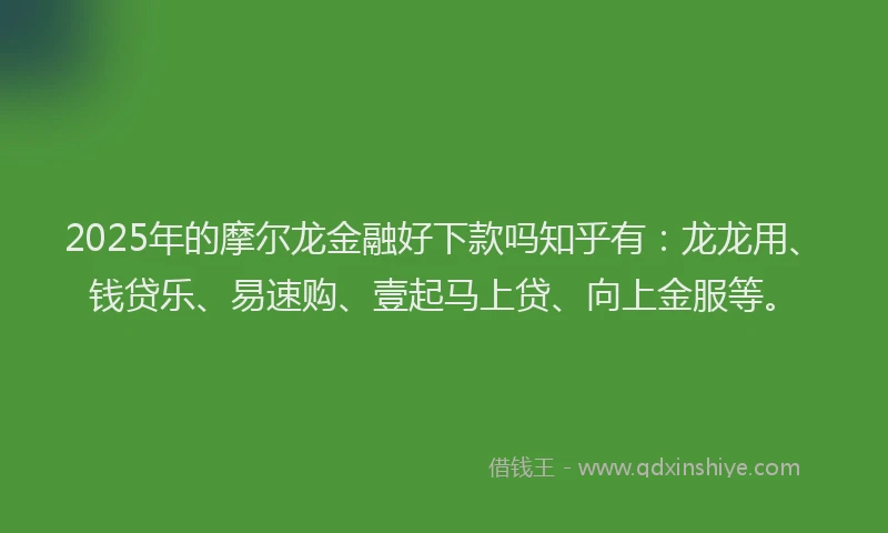 2025年的摩尔龙金融好下款吗知乎有：龙龙用、钱贷乐、易速购、壹起马上贷、向上金服等。