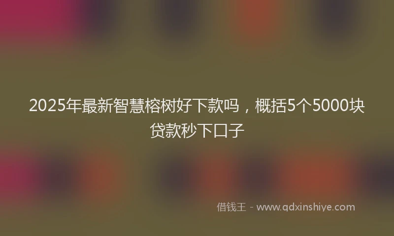 2025年最新智慧榕树好下款吗，概括5个5000块贷款秒下口子