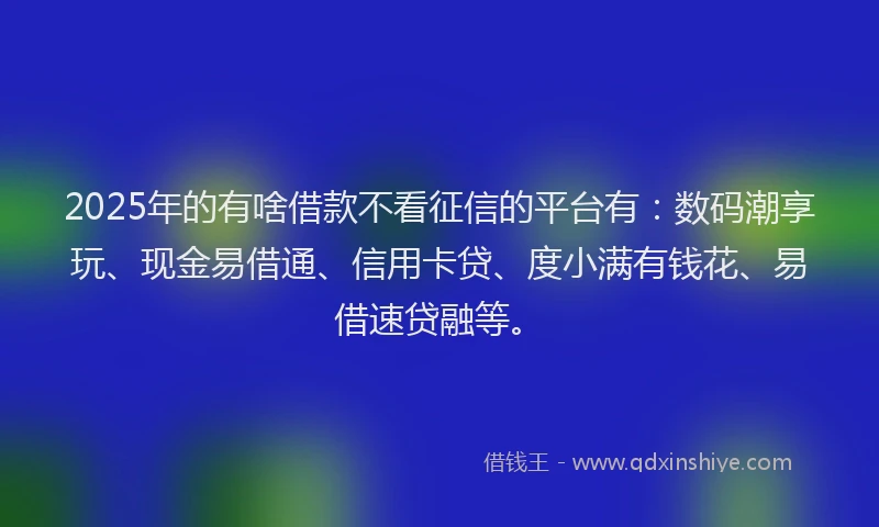 2025年的有啥借款不看征信的平台有：数码潮享玩、现金易借通、信用卡贷、度小满有钱花、易借速贷融等。
