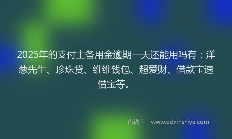 2025年的支付主备用金逾期一天还能用吗有：洋葱先生、珍珠贷、维维钱包、超爱财、借款宝速借宝等。