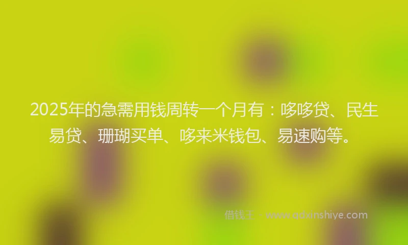2025年的急需用钱周转一个月有：哆哆贷、民生易贷、珊瑚买单、哆来米钱包、易速购等。