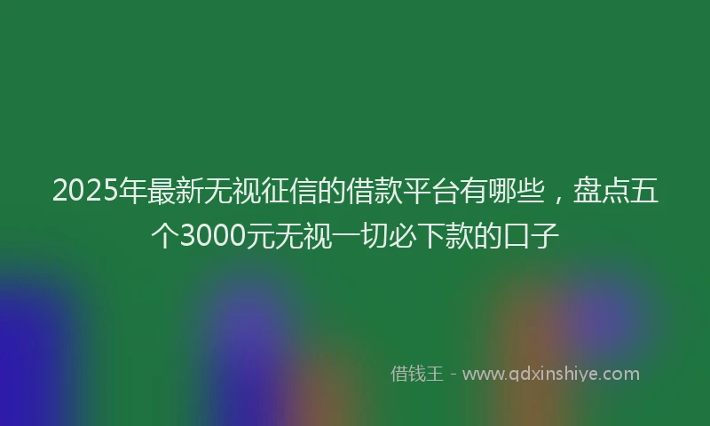 2025年最新无视征信的借款平台有哪些，盘点五个3000元无视一切必下款的口子