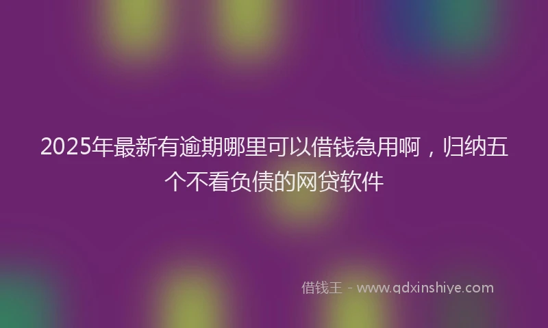 2025年最新有逾期哪里可以借钱急用啊，归纳五个不看负债的网贷软件