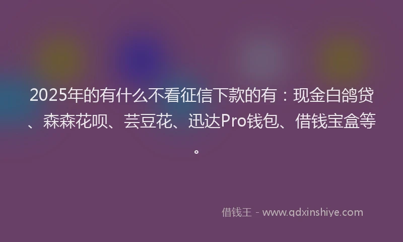 2025年的有什么不看征信下款的有：现金白鸽贷、森森花呗、芸豆花、迅达Pro钱包、借钱宝盒等。