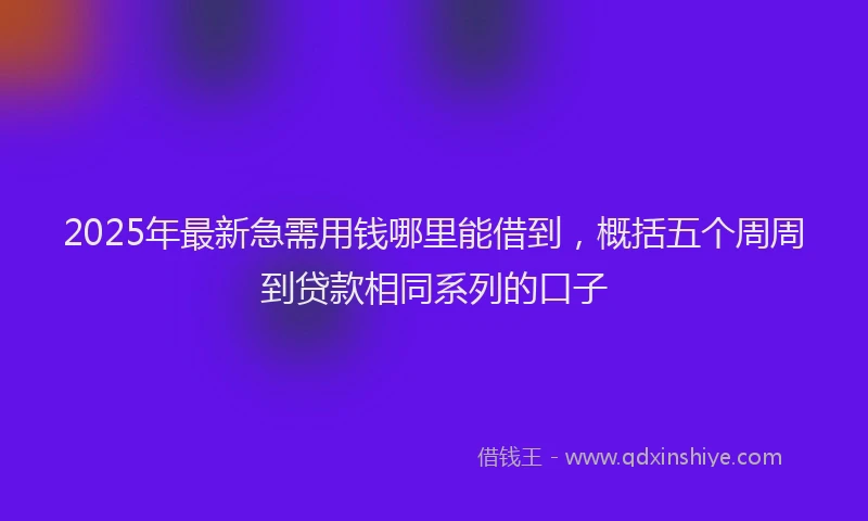 2025年最新急需用钱哪里能借到，概括五个周周到贷款相同系列的口子