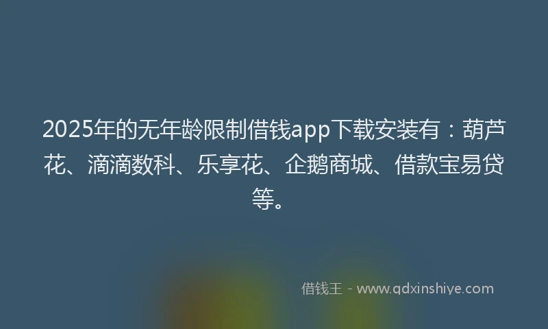 2025年的无年龄限制借钱app下载安装有：葫芦花、滴滴数科、乐享花、企鹅商城、借款宝易贷等。