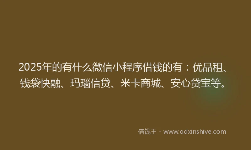 2025年的有什么微信小程序借钱的有：优品租、钱袋快融、玛瑙信贷、米卡商城、安心贷宝等。