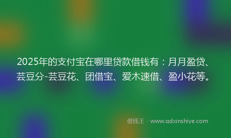 2025年的支付宝在哪里贷款借钱有：月月盈贷、芸豆分-芸豆花、团借宝、爱木速借、盈小花等。