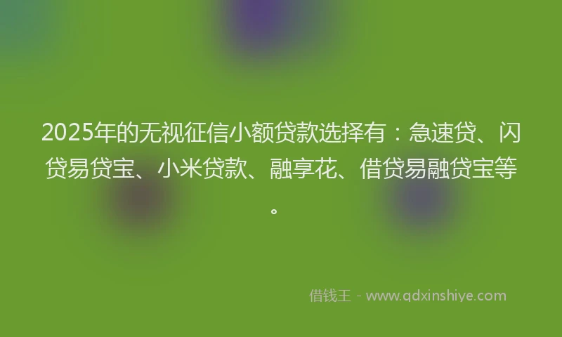 2025年的无视征信小额贷款选择有：急速贷、闪贷易贷宝、小米贷款、融享花、借贷易融贷宝等。