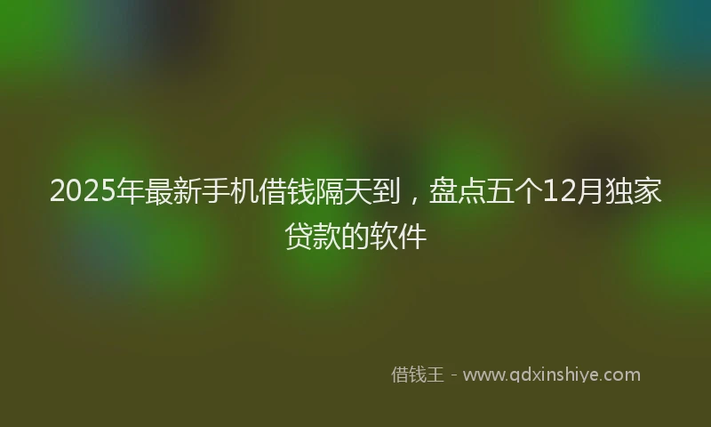 2025年最新手机借钱隔天到，盘点五个12月独家贷款的软件