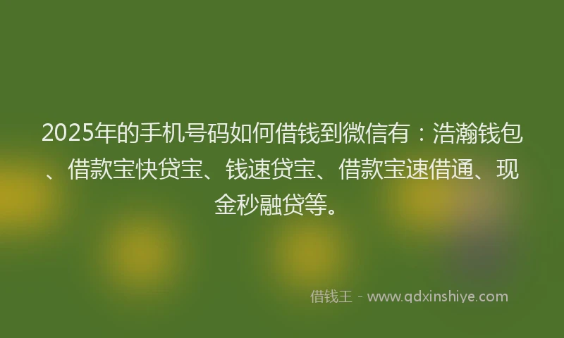 2025年的手机号码如何借钱到微信有：浩瀚钱包、借款宝快贷宝、钱速贷宝、借款宝速借通、现金秒融贷等。