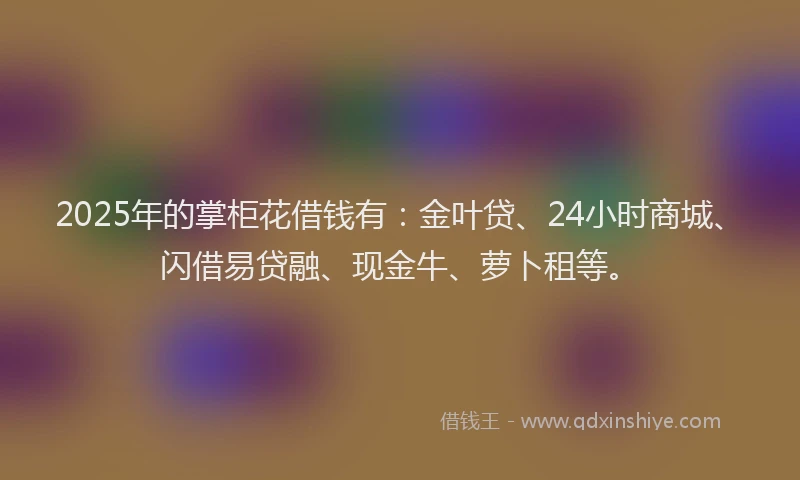 2025年的掌柜花借钱有：金叶贷、24小时商城、闪借易贷融、现金牛、萝卜租等。