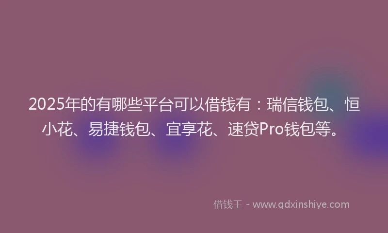 2025年的有哪些平台可以借钱有：瑞信钱包、恒小花、易捷钱包、宜享花、速贷Pro钱包等。