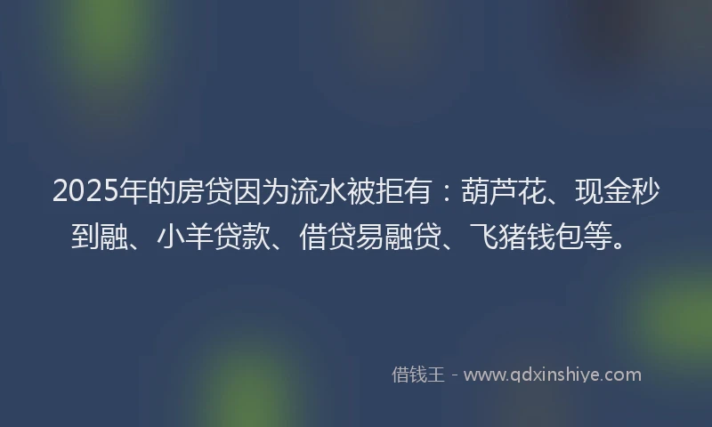 2025年的房贷因为流水被拒有：葫芦花、现金秒到融、小羊贷款、借贷易融贷、飞猪钱包等。