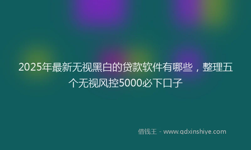 2025年最新无视黑白的贷款软件有哪些，整理五个无视风控5000必下口子