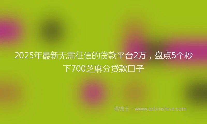 2025年最新无需征信的贷款平台2万，盘点5个秒下700芝麻分贷款口子