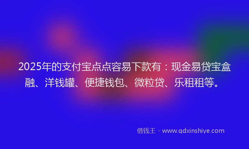 2025年的支付宝点点容易下款有：现金易贷宝盒融、洋钱罐、便捷钱包、微粒贷、乐租租等。