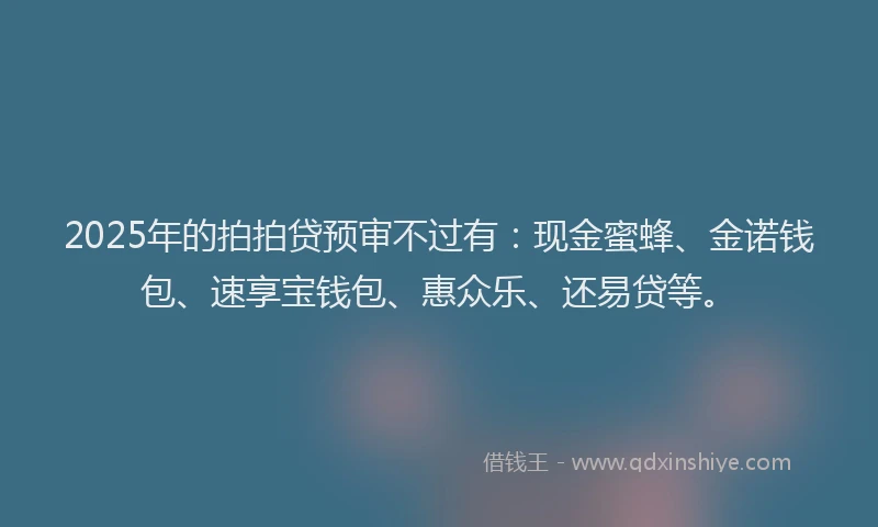2025年的拍拍贷预审不过有：现金蜜蜂、金诺钱包、速享宝钱包、惠众乐、还易贷等。