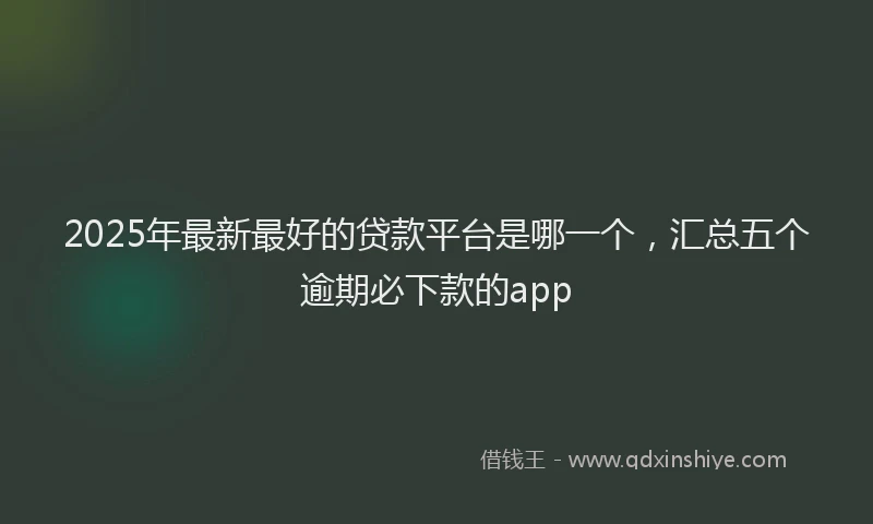 2025年最新最好的贷款平台是哪一个，汇总五个逾期必下款的app