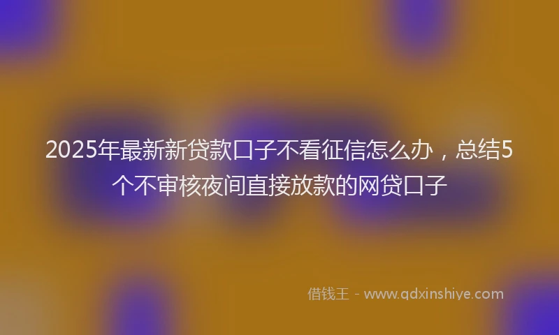 2025年最新新贷款口子不看征信怎么办,总结5个不审核夜间直接放款的网贷口子