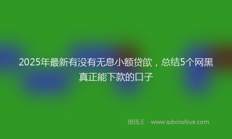 2025年最新有没有无息小额贷欿，总结5个网黑真正能下款的口子