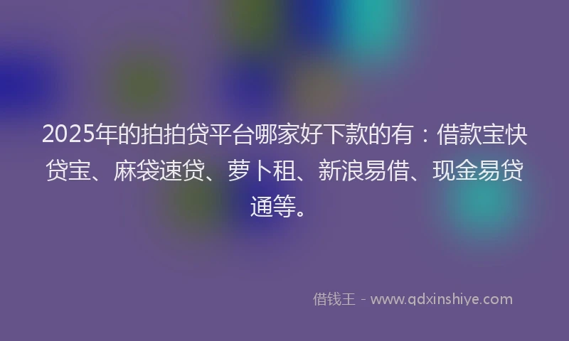 2025年的拍拍贷平台哪家好下款的有：借款宝快贷宝、麻袋速贷、萝卜租、新浪易借、现金易贷通等。