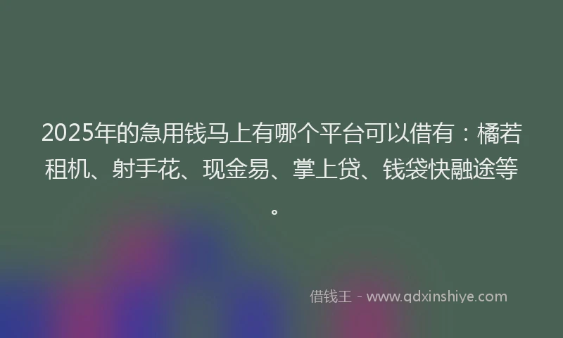 2025年的急用钱马上有哪个平台可以借有：橘若租机、射手花、现金易、掌上贷、钱袋快融途等。