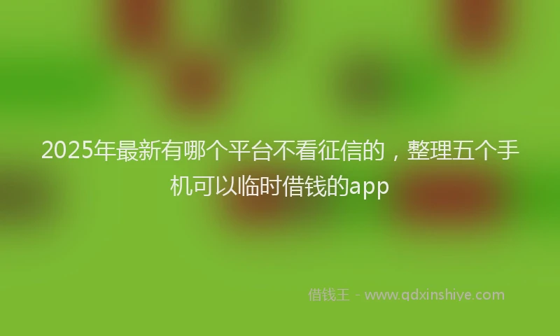2025年最新有哪个平台不看征信的，整理五个手机可以临时借钱的app