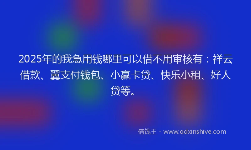 2025年的我急用钱哪里可以借不用审核有：祥云借款、翼支付钱包、小赢卡贷、快乐小租、好人贷等。