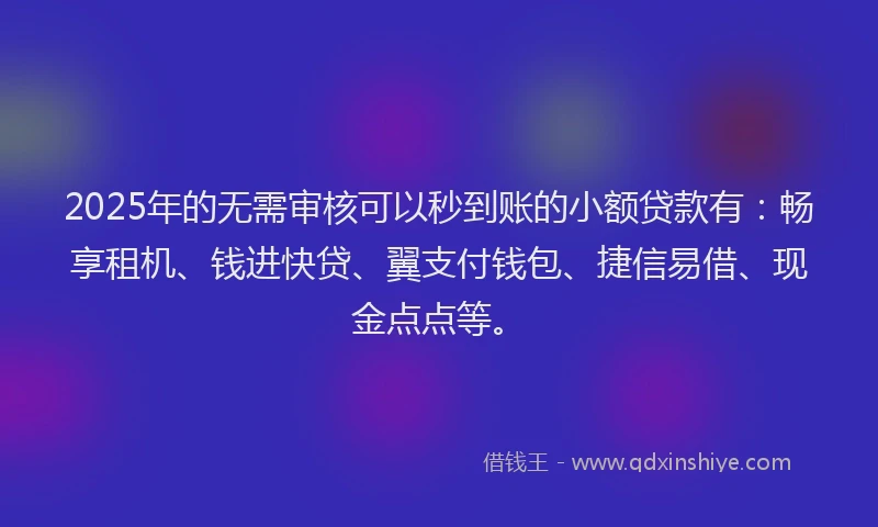 2025年的无需审核可以秒到账的小额贷款有：畅享租机、钱进快贷、翼支付钱包、捷信易借、现金点点等。