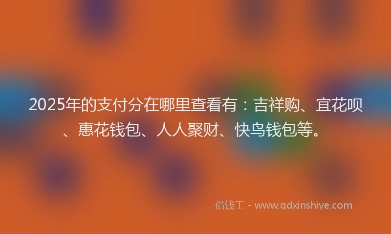 2025年的支付分在哪里查看有:吉祥购、宜花呗、惠花钱包、人人聚财、快鸟钱包等。