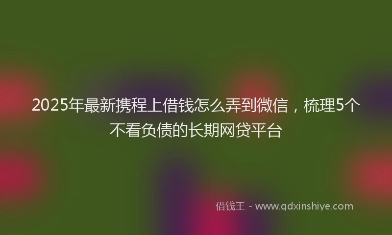 2025年最新携程上借钱怎么弄到微信，梳理5个不看负债的长期网贷平台