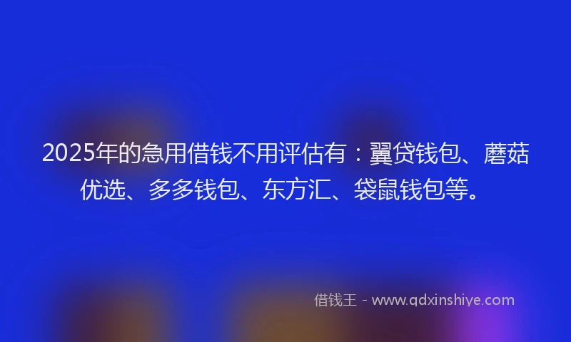 2025年的急用借钱不用评估有：翼贷钱包、蘑菇优选、多多钱包、东方汇、袋鼠钱包等。