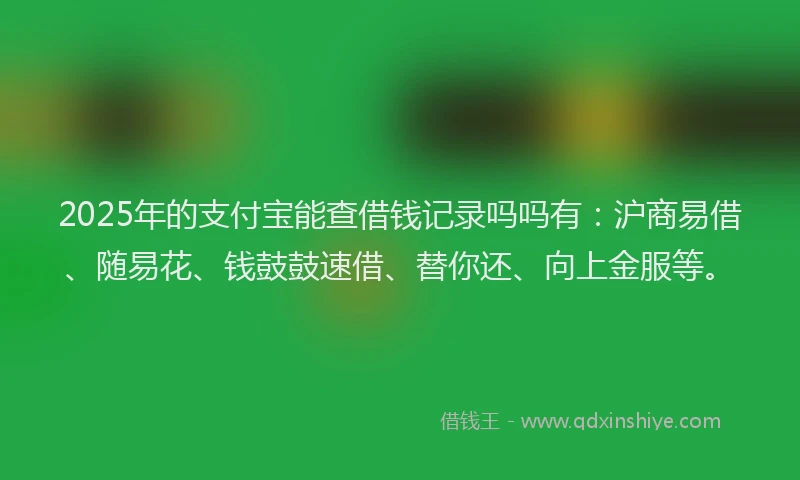 2025年的支付宝能查借钱记录吗吗有：沪商易借、随易花、钱鼓鼓速借、替你还、向上金服等。
